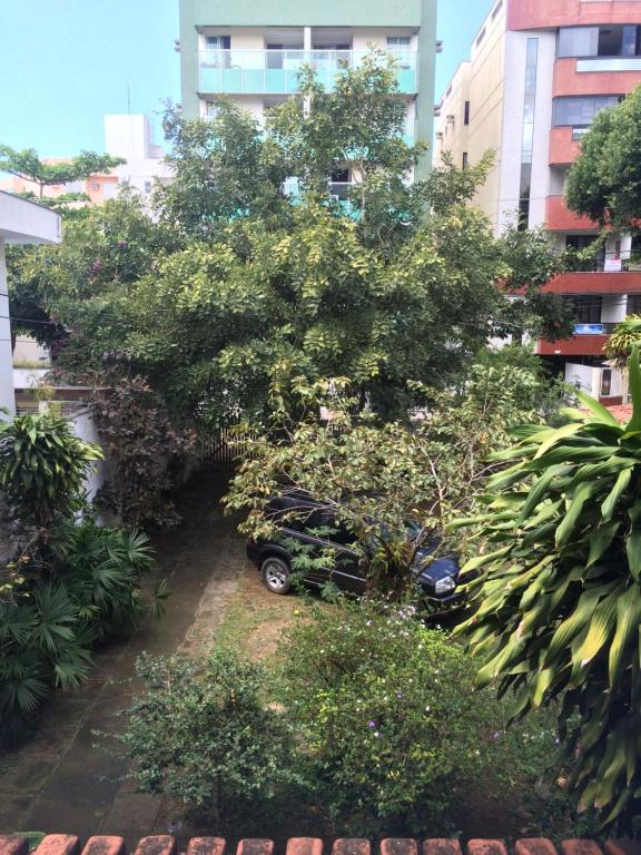 Zahrada ubytování Recanto da Vovó com Bike