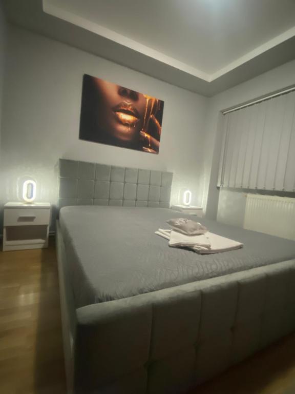 una camera da letto con un letto e un quadro sul muro di beautiful view a Brăila