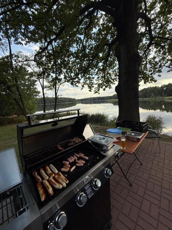 a grill with meat and sausages on it next to a tree at Waldhaus Weißwasser in Weißwasser