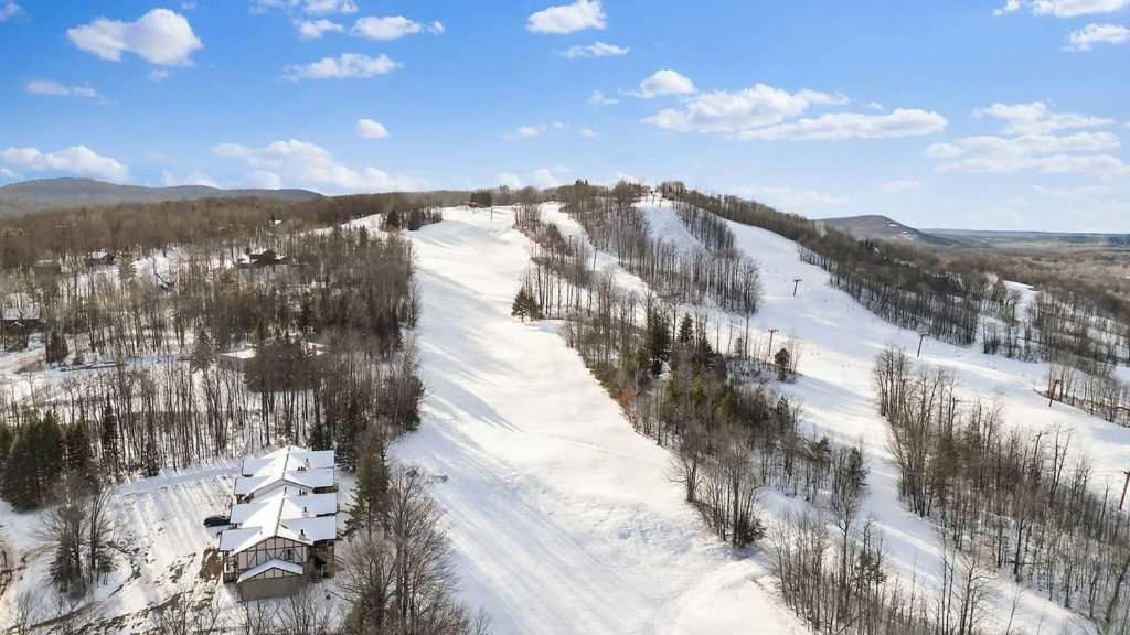 an aerial view of a ski slope with snow and trees at Premium Slope-Side Escape I Alpen Villas at Powderhorn Mountain in Bessemer