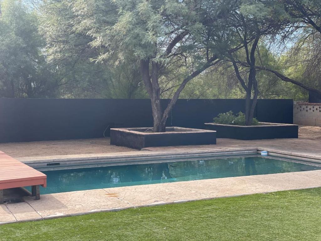 a swimming pool in a yard with two trees at Parkway Terrace in Tucson