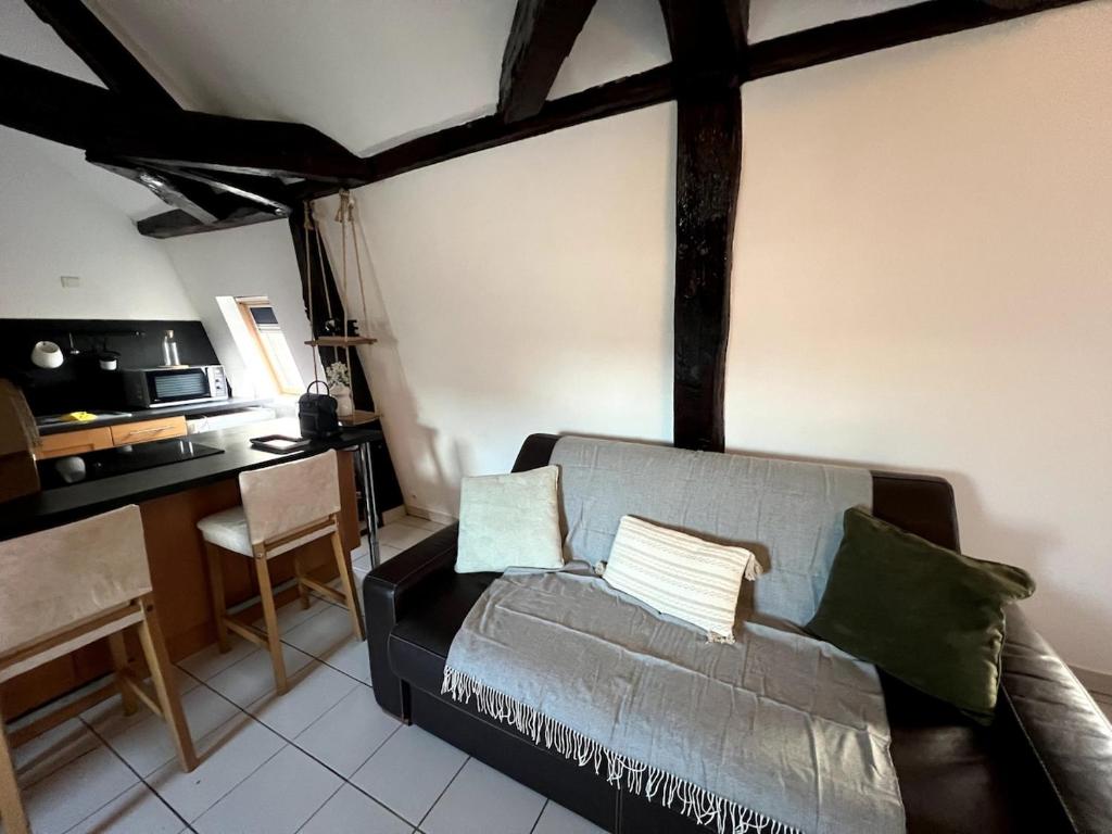 a living room with a couch with pillows on it at Nid douillet proche orly aéroport in Athis-Mons