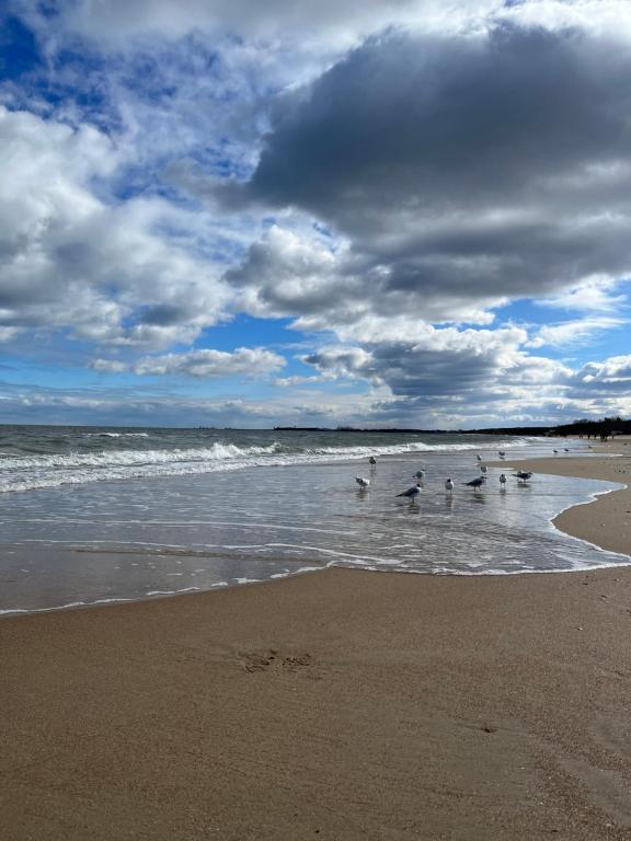 Φυσικό τοπίο κοντά σε αυτό το δωμάτιο σε οικογενειακή κατοικία