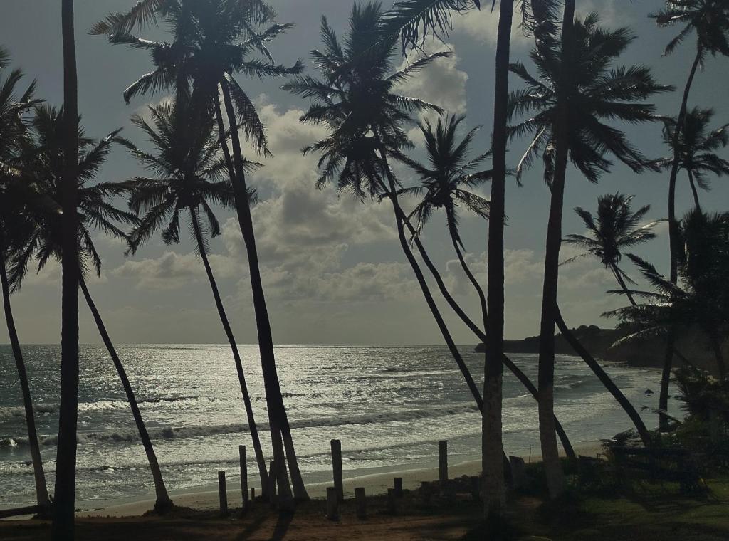 un groupe de palmiers sur la plage dans l'établissement Pousada Rio Mar, à Maxaranguape