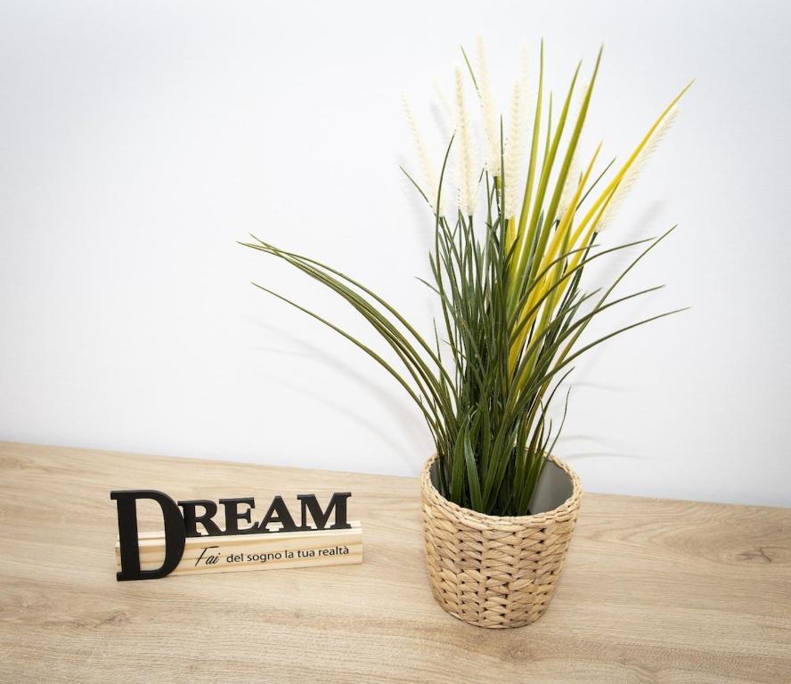 a potted plant sitting on a table next to a sign at Casa Piazza Garibaldi in Sulmona