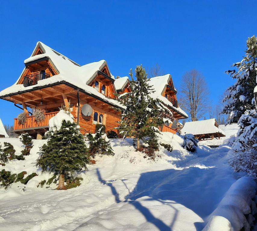 维托韦Domek Kojsówka的小木屋前方有树木覆盖在雪中