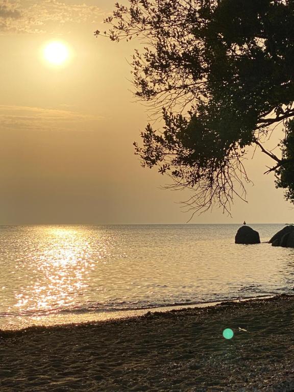 einen Strand mit Sonnenuntergang über dem Wasser in der Unterkunft Escale sous le hêtre in Ploumilliau