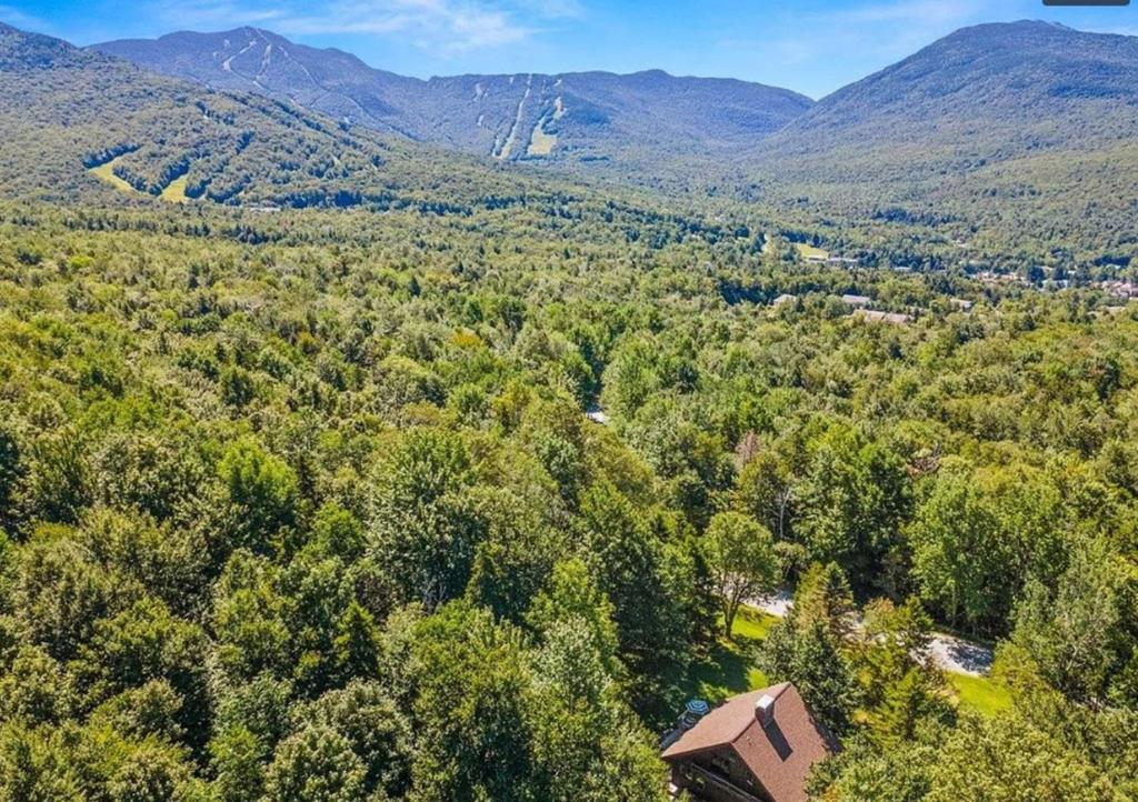 een luchtzicht op een bos met een huis en bergen bij Smugglers Trove in Morses Mill