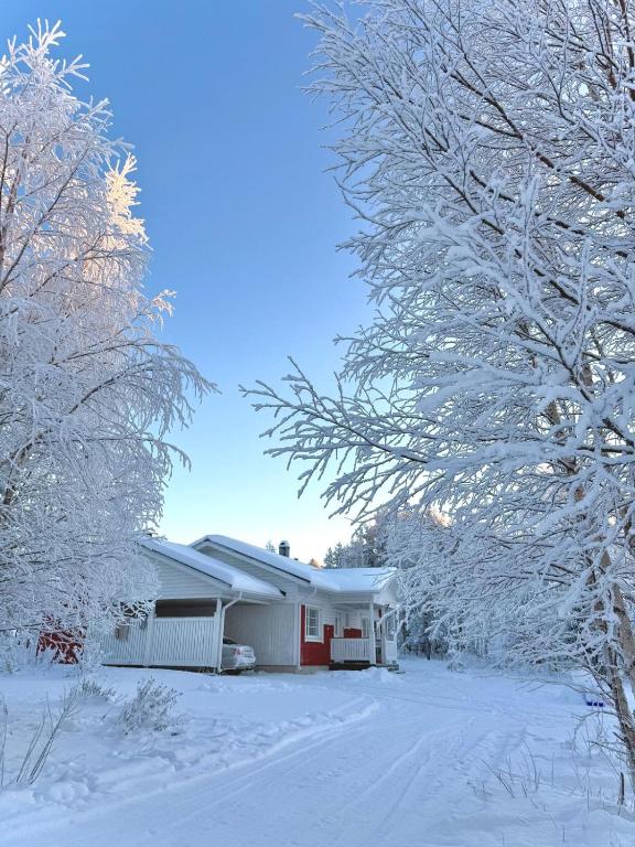 una casa con árboles nevados delante de ella en Polar Night Wooden House with Sauna, en Sodankylä