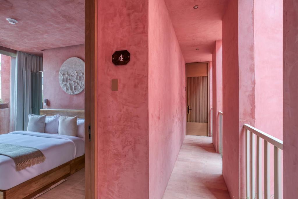Laiva Hotel San Jose by Tasman photo