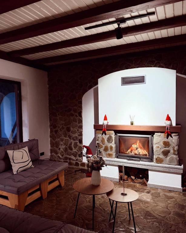 a living room with a fireplace and a couch at Cabana Gala Doftanei in Trăisteni