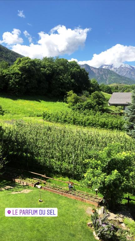 Le Parfum du Sel - 12