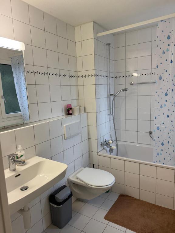 een badkamer met een toilet, een wastafel en een douche bij Canaima in Luzern