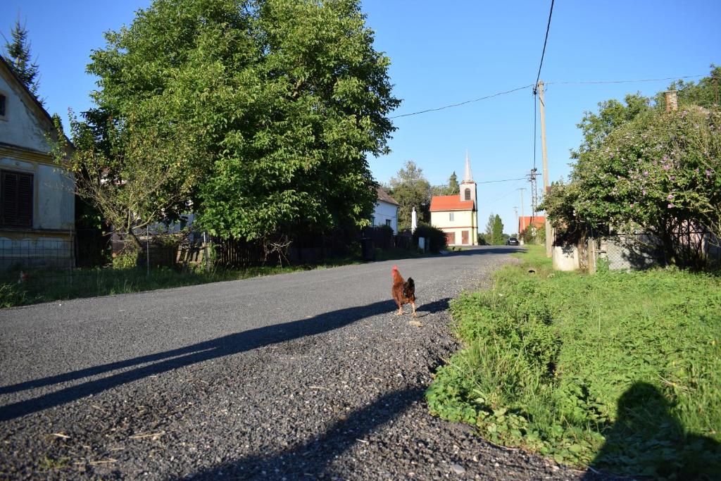 Zdjęcie z galerii obiektu Hétmérföldes Vendégház w mieście Szaknyér