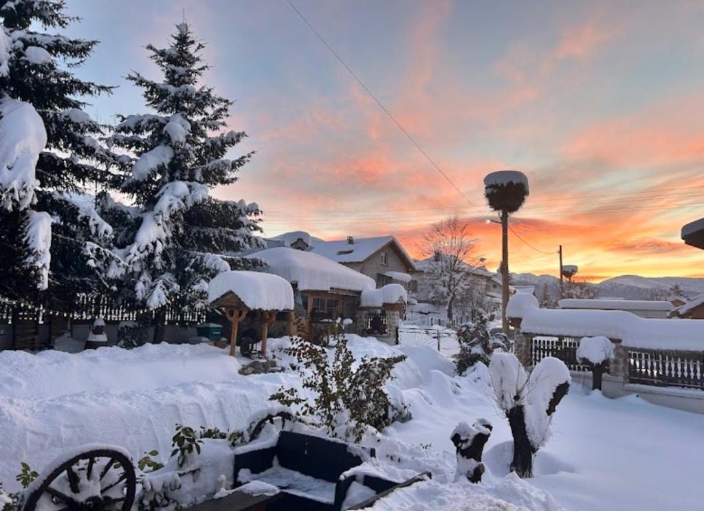 a yard covered in snow with a christmas tree at Guest House Rila in Govedartsi
