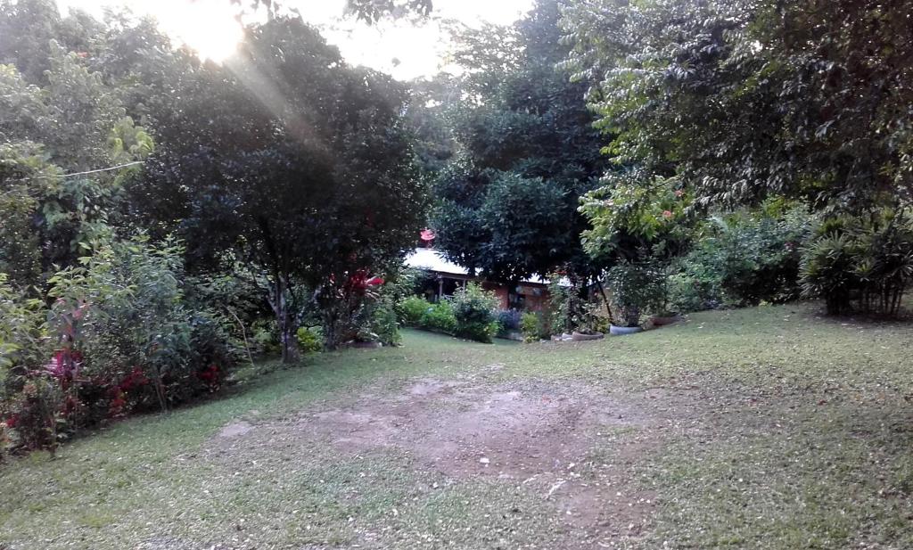 Zahrada ubytování Hostal Familiar El Ángel Panamá B&B