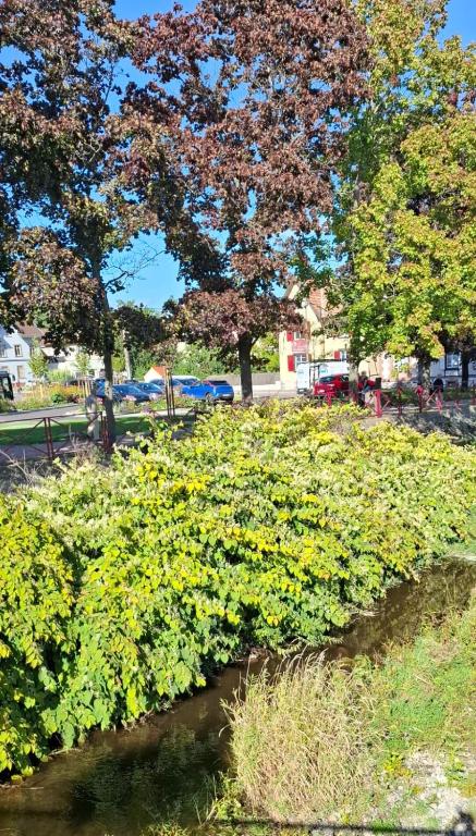Le Square Inn – photo 31