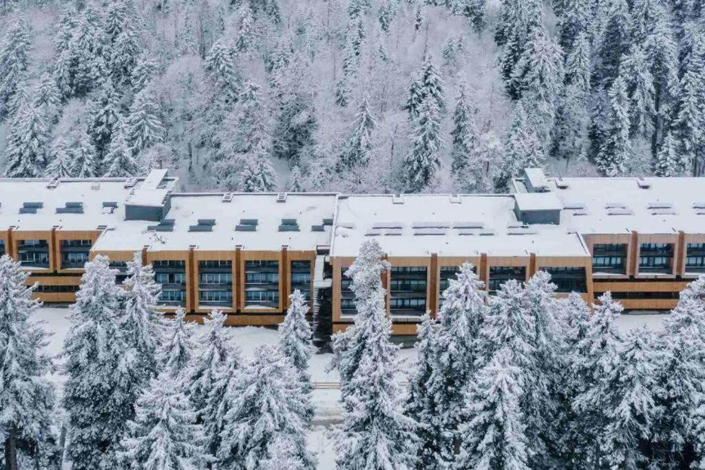 Το Premium Ski Retreat - Steps from Kokhta Gora τον χειμώνα