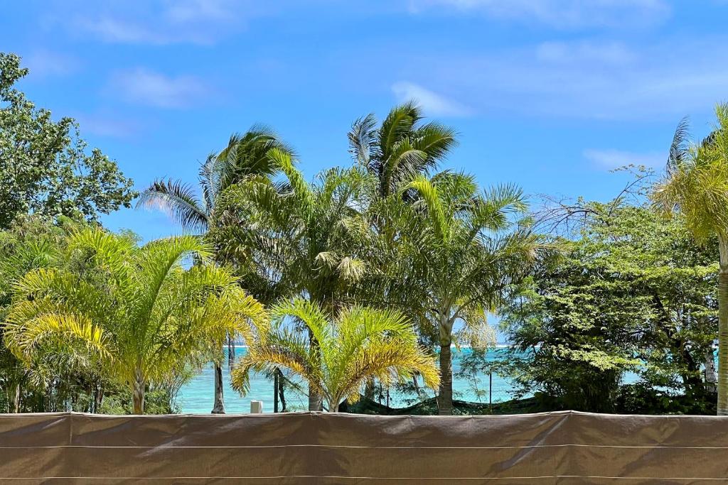 Fare Tau Otaha - Chalet avec accès mer à 1min - photo 5 - Moorea, Polynésie