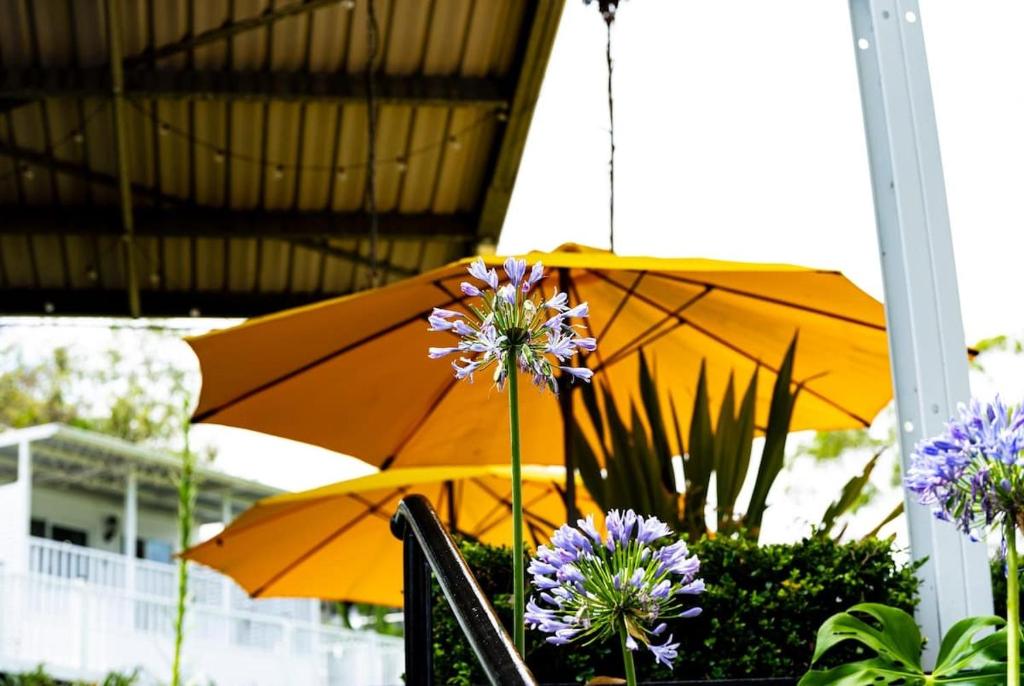 Κήπος έξω από το 2BD Room Near Hawkesbury River