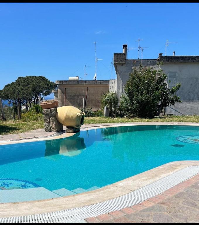 a large blue swimming pool in front of a building at Villa Liuba con piscina in Forio d'Ischia