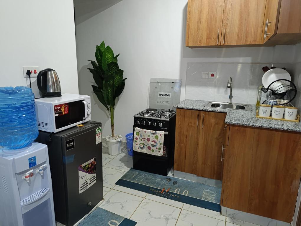 Η κουζίνα ή μικρή κουζίνα στο Zangem BnBs