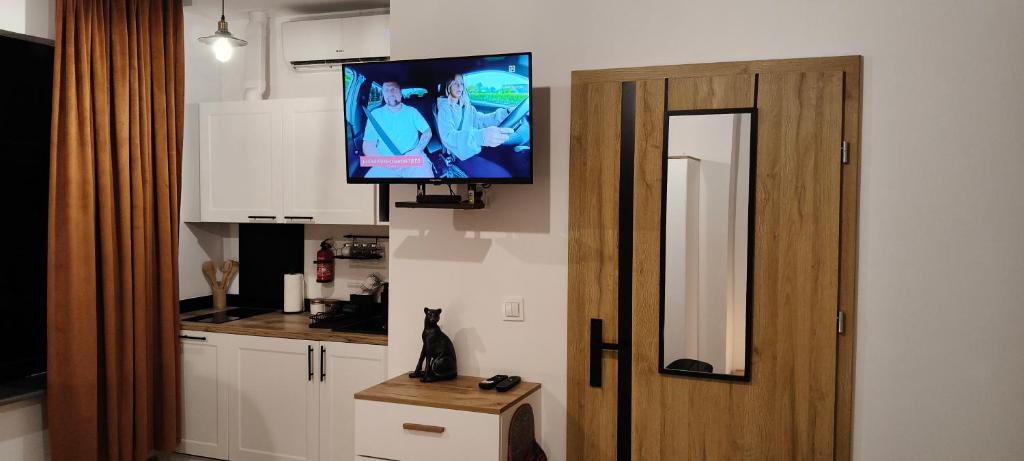 Η κουζίνα ή μικρή κουζίνα στο Drzewna Apartamenty-Wojska Polskiego