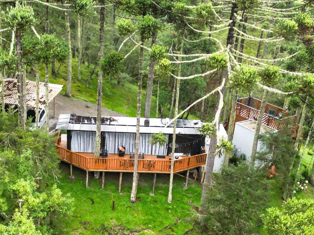 Природа в окрестностях лоджа