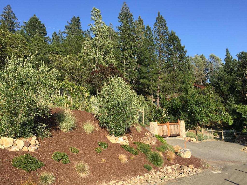 Naturlandskabet i nærheden af feriehuset