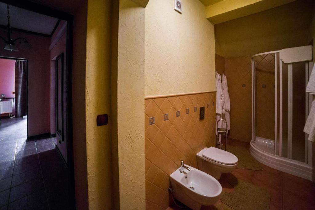 Koupelna v ubytování Gnizdo Golubky