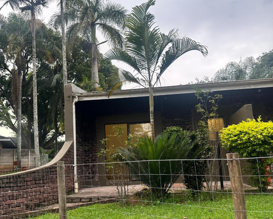 a house with a palm tree in front of it at Palm View in White River