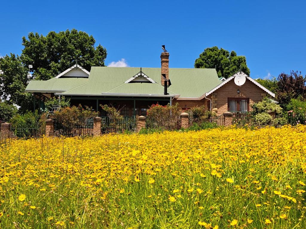 a field of yellow flowers in front of a house at Clarens Mount Rose self-catering holiday house in Clarens