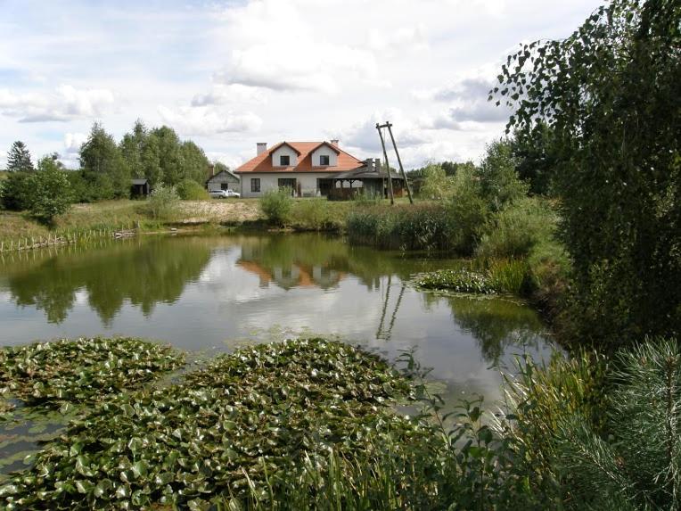 a house sitting next to a river with a house at Agroturystyka "Bociek" in Bełk