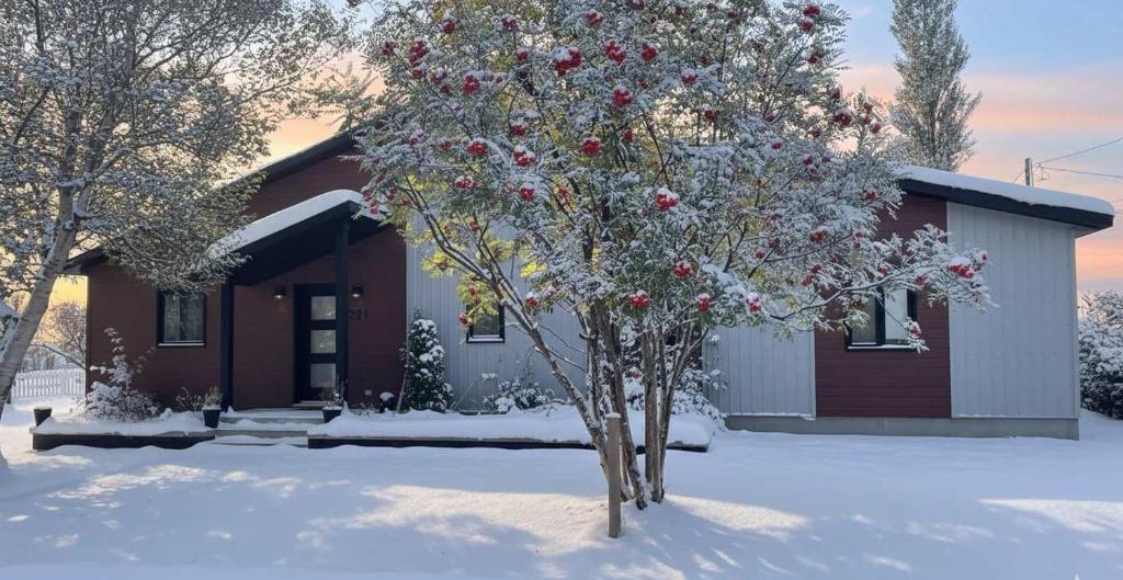 a tree in the snow in front of a house at Spa & Nature - LAncrage in Rivière-Ouelle