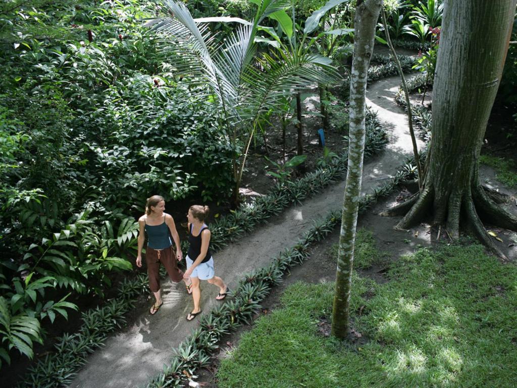 Hosté ubytování Iguana Lodge Beach Resort