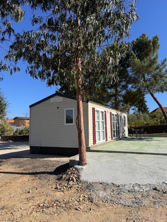 ein Baum vor einem Gebäude mit Tennisplatz in der Unterkunft School MotorhomePark - Aldeamento Turístico in Óvoa