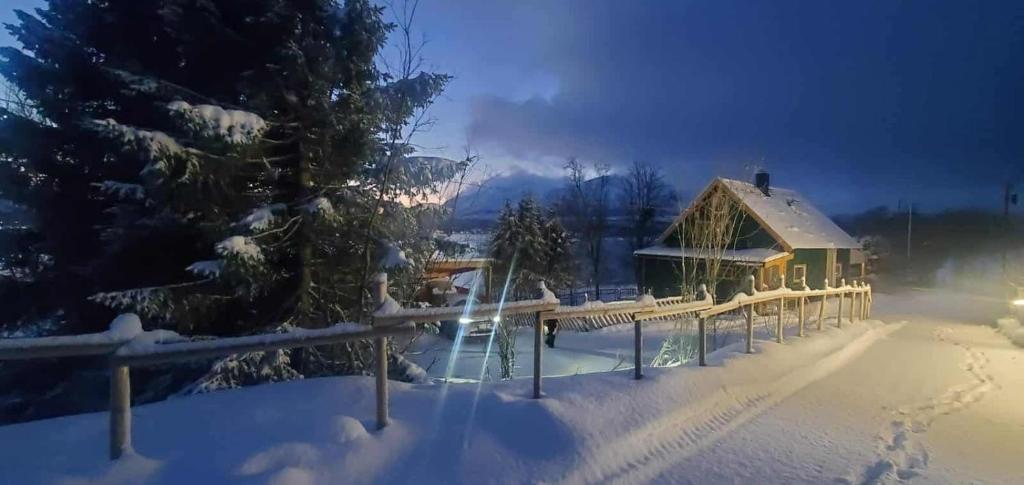 Το CC`s Green house τον χειμώνα