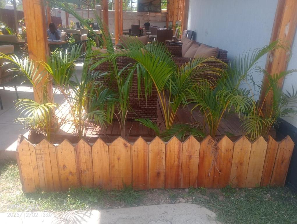 Κήπος έξω από το Heroes Resort Garden