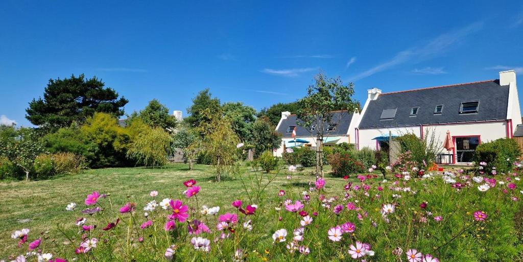 een bloemenveld voor een huis bij Les Maisons de Kerdavid'île - votre résidence de vacances à Locmaria au Sud de Belle ile en mer in Locmaria