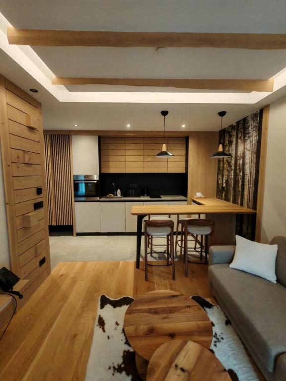 Køkken eller tekøkken på Apartman 601 Ema Montera