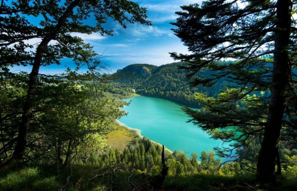 a view of a lake through the trees at Maison au coeur du Jura - 4 chambres - 9 couchages in Champagnole