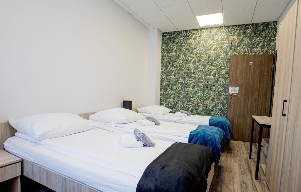 Hostel OPEN GARDEN - 1