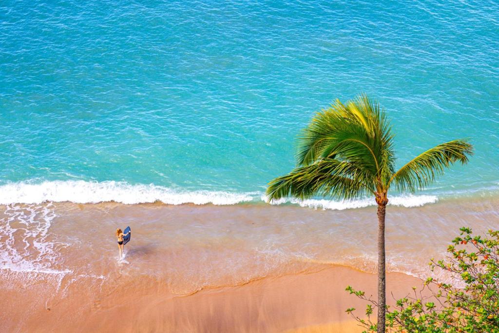 a person standing on a beach with a palm tree at KBM Resorts FREE CAR Sands of Kahana Ocean view 3-Bedroom Condo Penthouse Recently Remodeled SOK-292 in Kaanapali