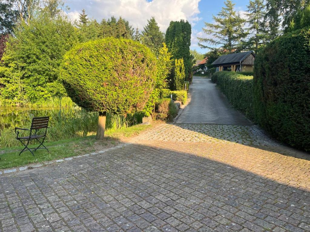 ein Kopfsteinpflasterweg mit einer Bank und einem Baum in der Unterkunft Landhaus Pauline in Kröpelin