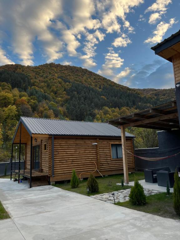 Khando's Resort في Passanauri: كوخ خشبي مع جبل في الخلفية