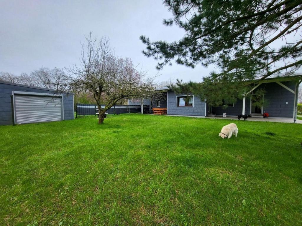 En have udenfor Lanckensburg Fewo1 - Doris