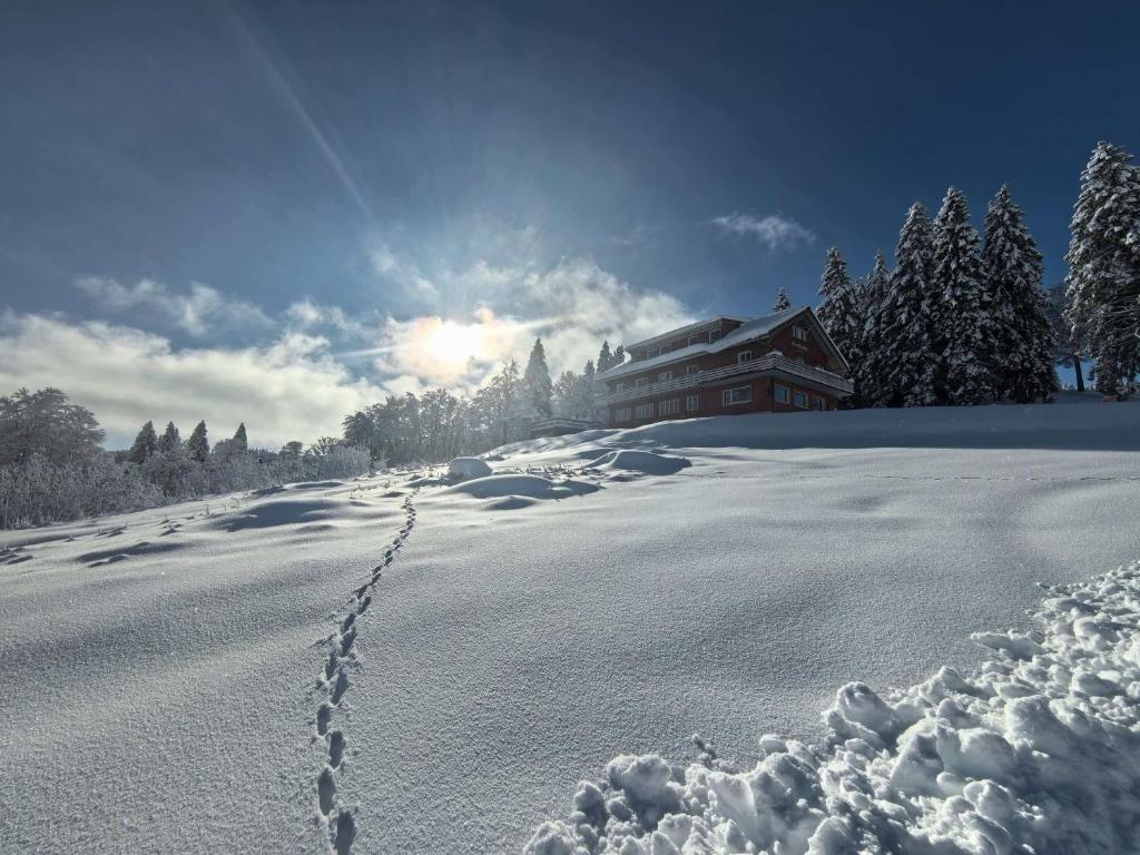 a snow covered road with footprints in front of a house at Berggasthaus Auerhahn - Ski In- Ski Out- in Feldberg