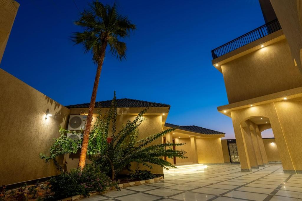 a palm tree in front of a house with lights at Jovan Suites apartment 2 in AlUla