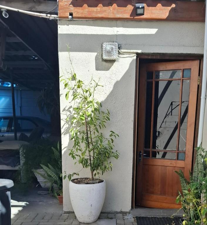 a plant in a pot in front of a door at The Albertyns in Belhar
