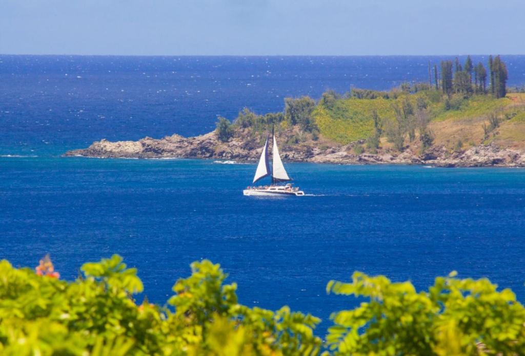 Naturlandskabet i nærheden af lejligheden